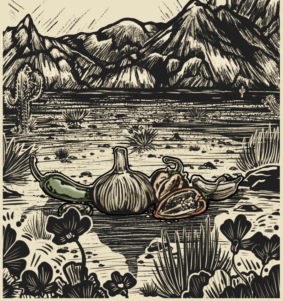 Hand-drawn desert landscape with mountains, saguaro, garlic and peppers by @artbynat_s